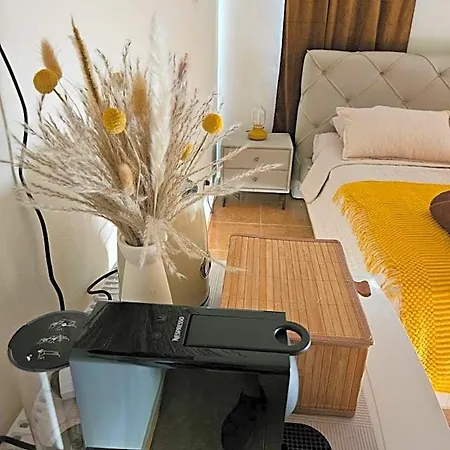 By Emmelia Group 3* 파포스